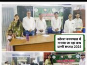 स्टूडेंट्स ने जाना देवदूत कहे जाने वाले प्रवासी पक्षी ओपन बिल स्टाॅर्क की कोरबा में मौजूदगी का महत्व