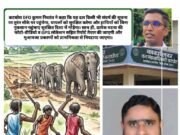कोरबा प्रेस क्लब के सचिव नागेन्द्र श्रीवास को महत्वपूर्ण जिम्मेदारी, ‘मानव-हाथी संघर्ष नियंत्रण टीम’ में सदस्य बनाए गए