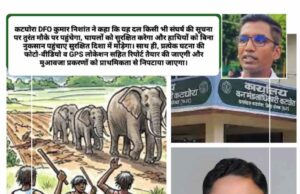 कोरबा प्रेस क्लब के सचिव नागेन्द्र श्रीवास को महत्वपूर्ण जिम्मेदारी, ‘मानव-हाथी संघर्ष नियंत्रण टीम’ में सदस्य बनाए गए