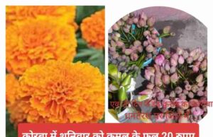 कश्मीरी सेब हो या इंपोर्टेड नासपाती, धनतेरस पर मैरीगोल्ड की महंगाई के आगे फूलगोभी व लहसुन भी शरमाए