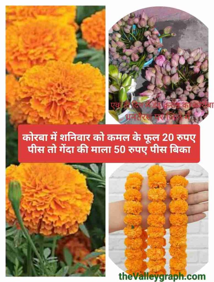 कश्मीरी सेब हो या इंपोर्टेड नासपाती, धनतेरस पर मैरीगोल्ड की महंगाई के आगे फूलगोभी व लहसुन भी शरमाए