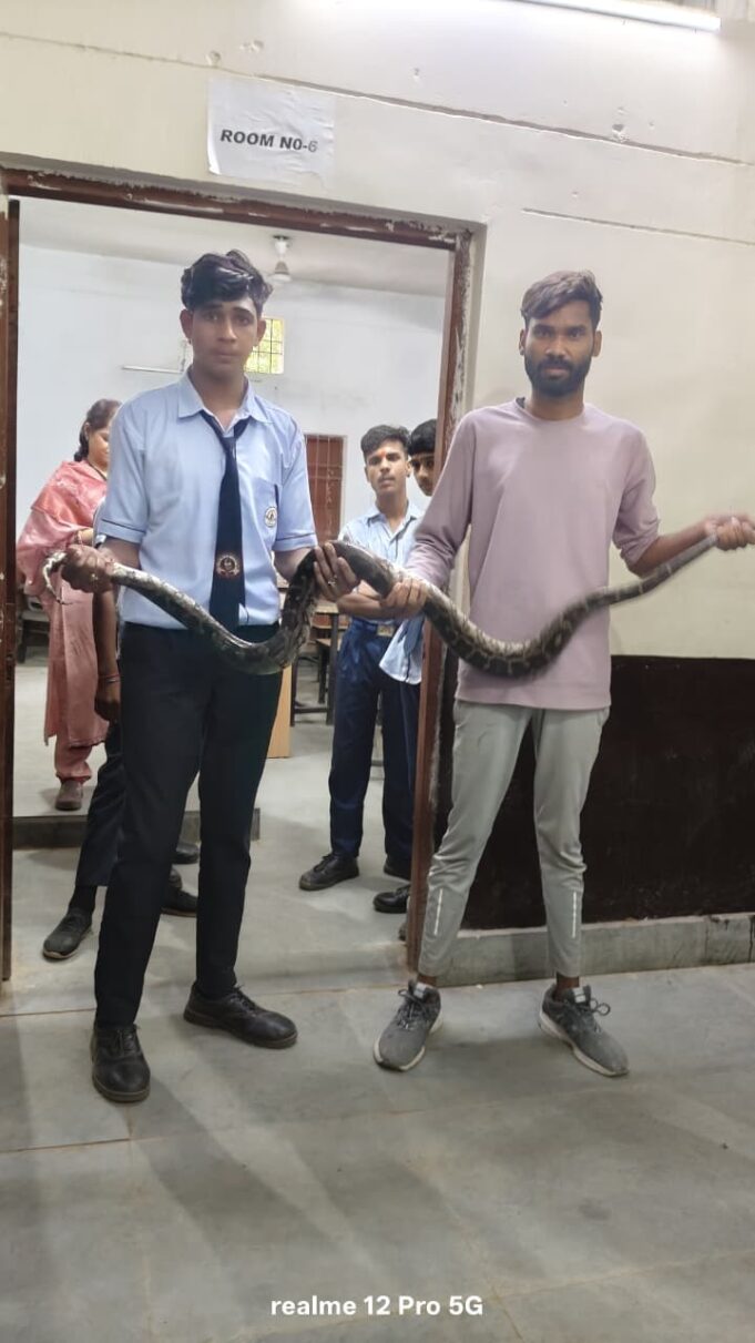 क्लास में चल रही थी पढाई, वही स्टूडेंट की बैंच के नीचे छुपा बैठा था 8 फ़ीट का विशालकाय अजगर, स्कूल में मचा हड़कप