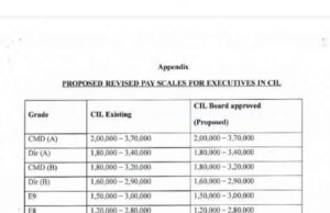 CIL एवं अनुषंगी कंपनियों में कार्यपालकों के लिए उन्नत वेतनमान के मुद्दे पर गठित समिति की रिपोर्ट जारी, यहां देखें E 1 से CMD तक प्रस्तावित संशोधित वेतनमान