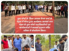 विश्व पर्यावरण दिवस पर भाजयुमो ने चलाया “एक पेड़ माँ के नाम” अभियान, मंडल स्तर पर किया पौधरोपण