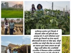 नारी शक्ति: बिजली उत्पादन में योगदान के साथ जैविक खेती कर प्रेरक मिसाल बन रही CSEB की इंजीनियर प्रतिमा