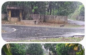 आज सुबह बारिश की रिमझिम फुहारों से तरबतर हुआ शहर और उपनगर
