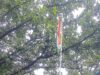 स्वतंत्रता दिवस पर जिला सहकारी बैंक एनटीपीसी में पर्यवेक्षक ज्ञान सोनी व सुनीता चौहान ने किया ध्वजारोहण