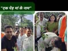 न्यू कोरबा हॉस्पिटल परिसर में ‘एक पेड़ मां के नाम’ अभियान के तहत पौधे रोपित कर लिया देखभाल व संरक्षण का संकल्प